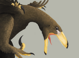 Deinonychus Close up