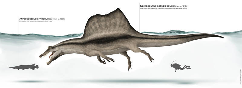 Spinosaurus aegyptiacus 2015
