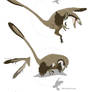 Paravians studies - Raptor Prey Restraint Model