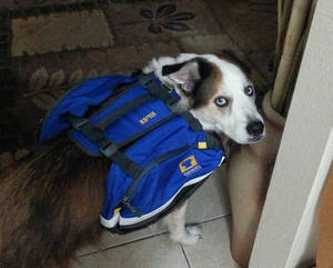 Boozer-hiking-pack by DesertRubble Boozer-hiking-pack by DesertRubble