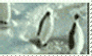 Penguin Stamp