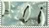 Penguin Stamp by hosmer23