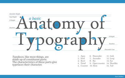 Anatomy of Typography