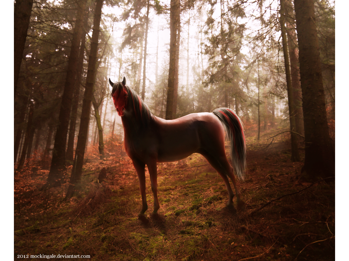 The odds of being alone by mockingale