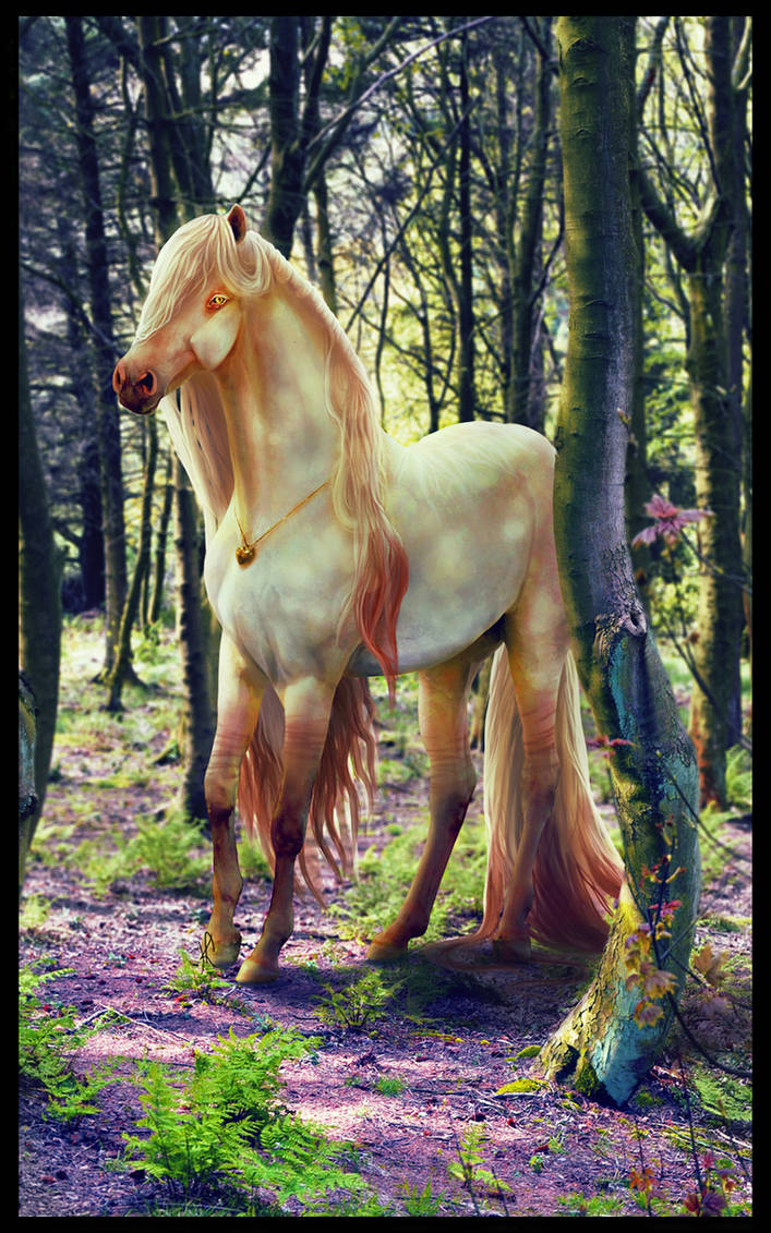 Алиса лошадка. Шварцвальд лошади. Сказочный конь. Красивые лошади. Лесная лошадь.