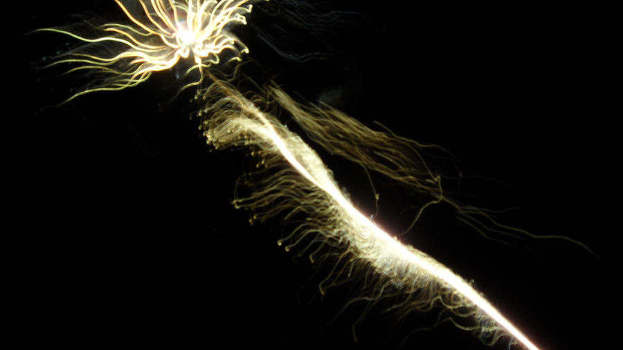 Kingsplotch fireworks 3 by beginthebegin on DeviantArt
