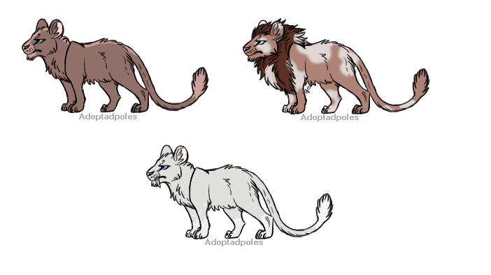 Cat Adopts!(Open!)