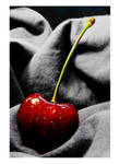 Juicy Cherry2 by StefanieSauer