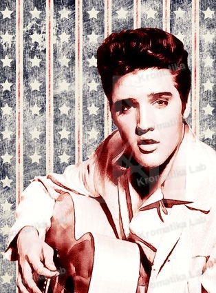 ELVIS