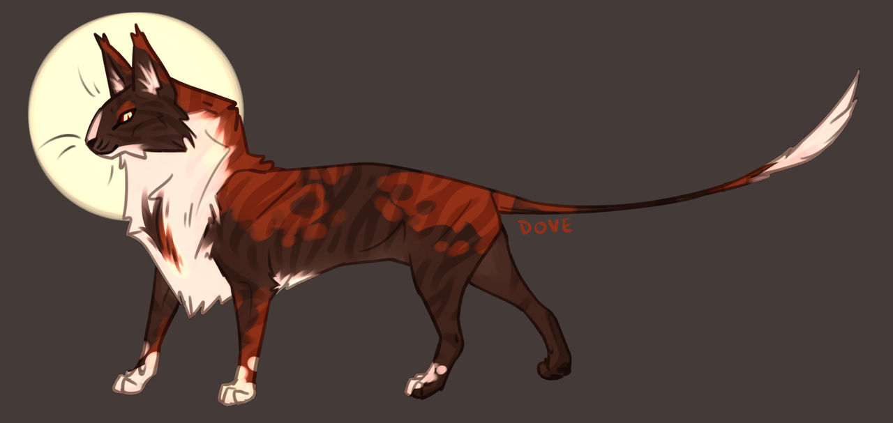 Sol by ghost-biird on DeviantArt