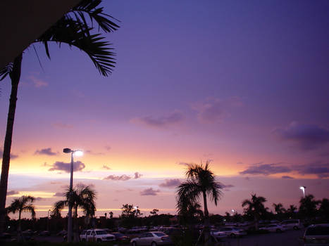 gulf of mexico sunset