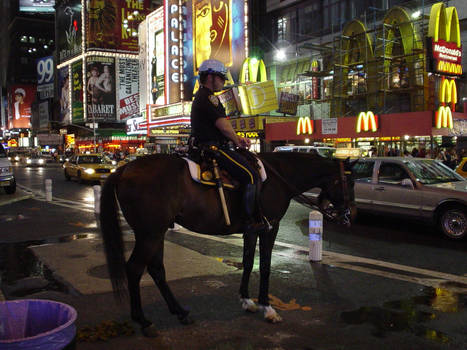 horse on Times Square