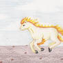 Ponyta