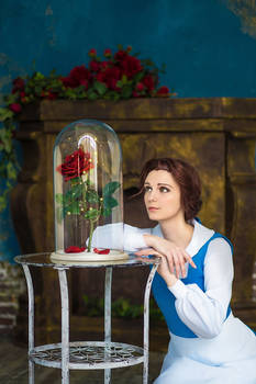 Belle Beauty and the Beast Disney Cosplay