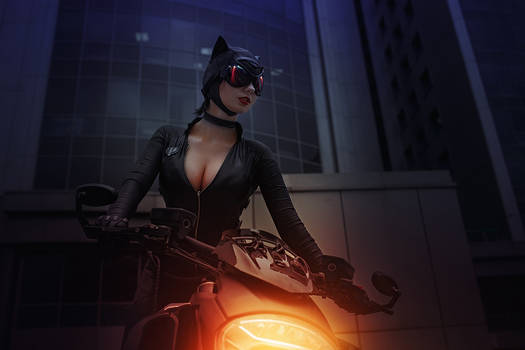 CatWoman DC Comics Batman Arkham Knight