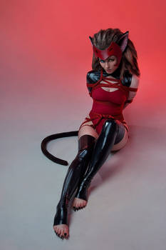 Catra She-Ra and The Princesses of Power Cosplay