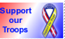 Support our Troops