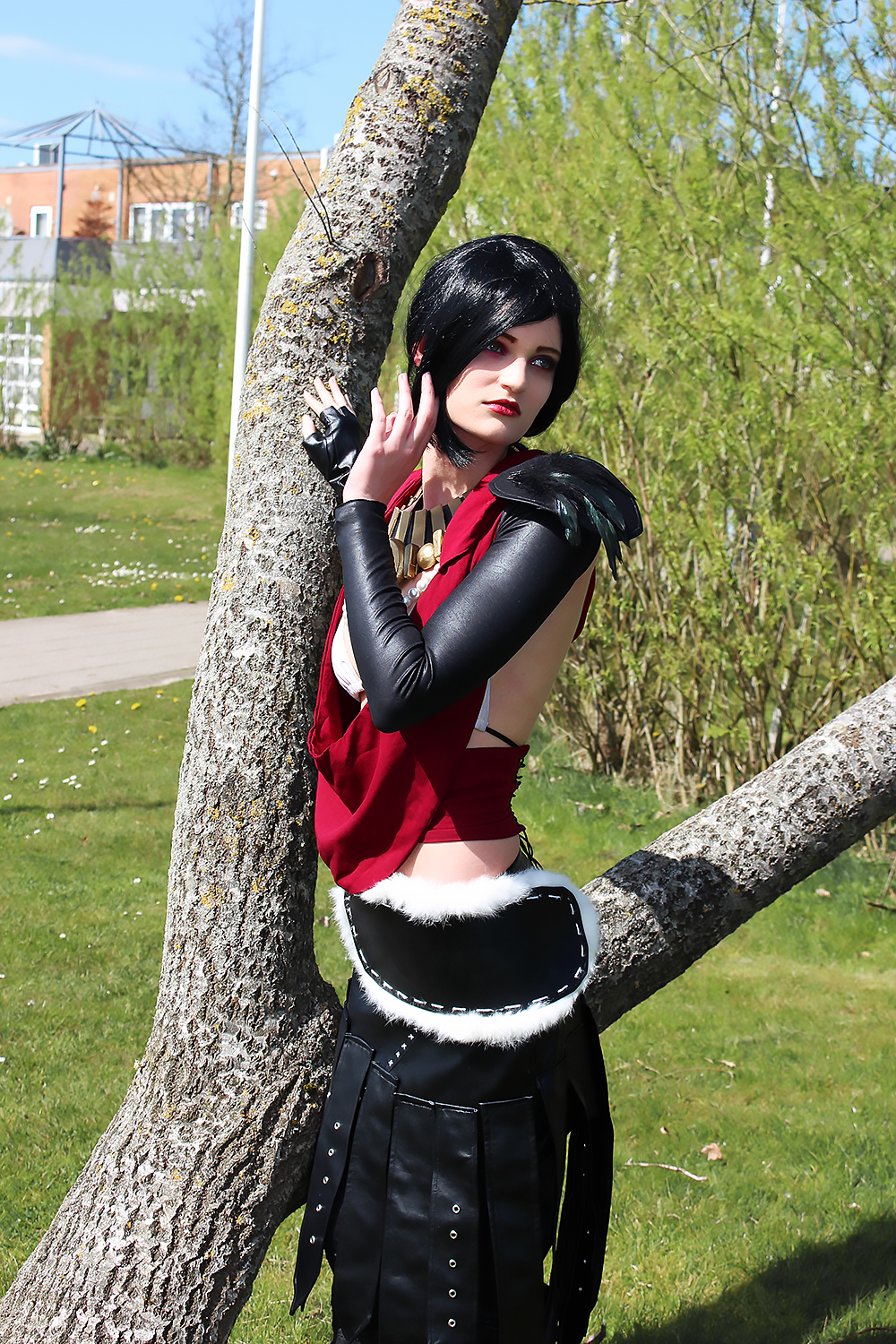 Cosplay - Morrigan (Dragon Age)