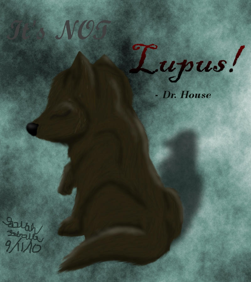 Its Not Lupus By Neo8833 On Deviantart
