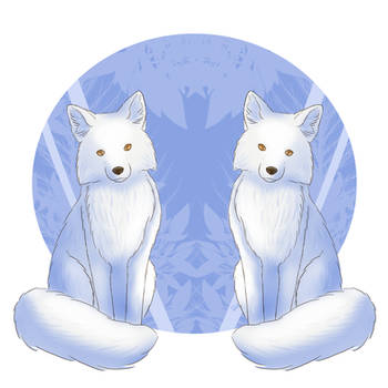 Two seated arctic foxes
