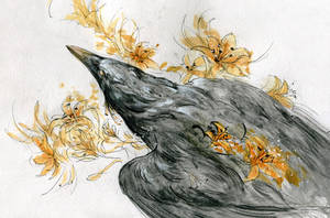 Inktober - american crow