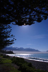 beach in Kaikoura