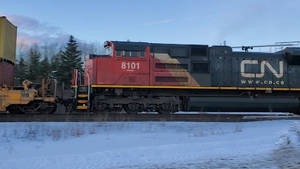 CN 8101