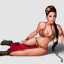 princess leia pinup