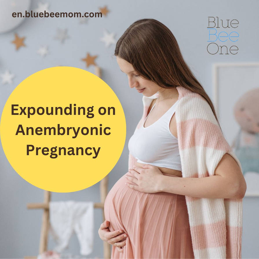 Expounding on Anembryonic Pregnancy by bluebeemom on DeviantArt
