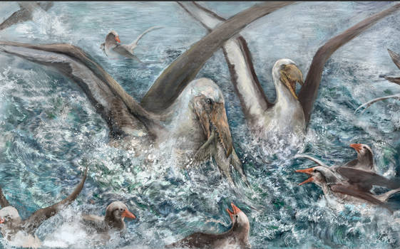 Pelagornis