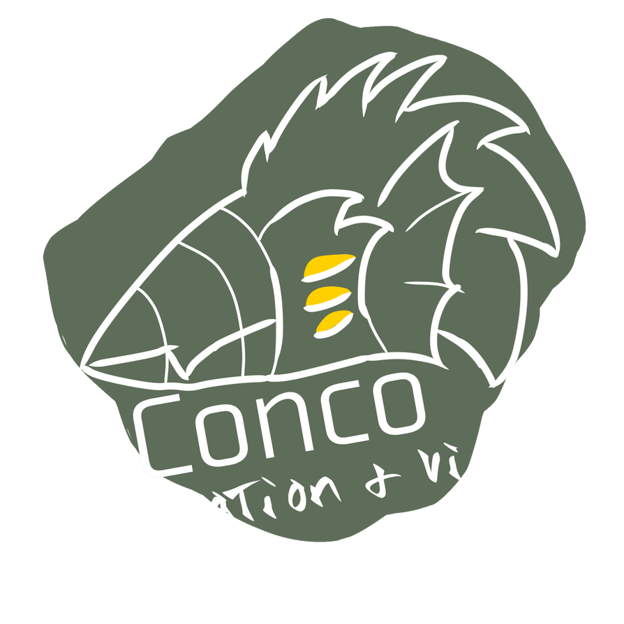 Conco logo by Blossomwolfcreations on DeviantArt