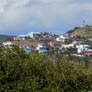 Saint Kitts - Houses on a Hill