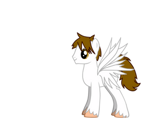 Me as a pony