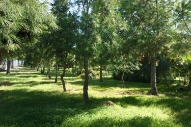 Tomb of the Kings