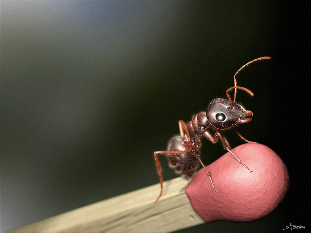 Formiga Virtual - Virtual Ant by playmobil
