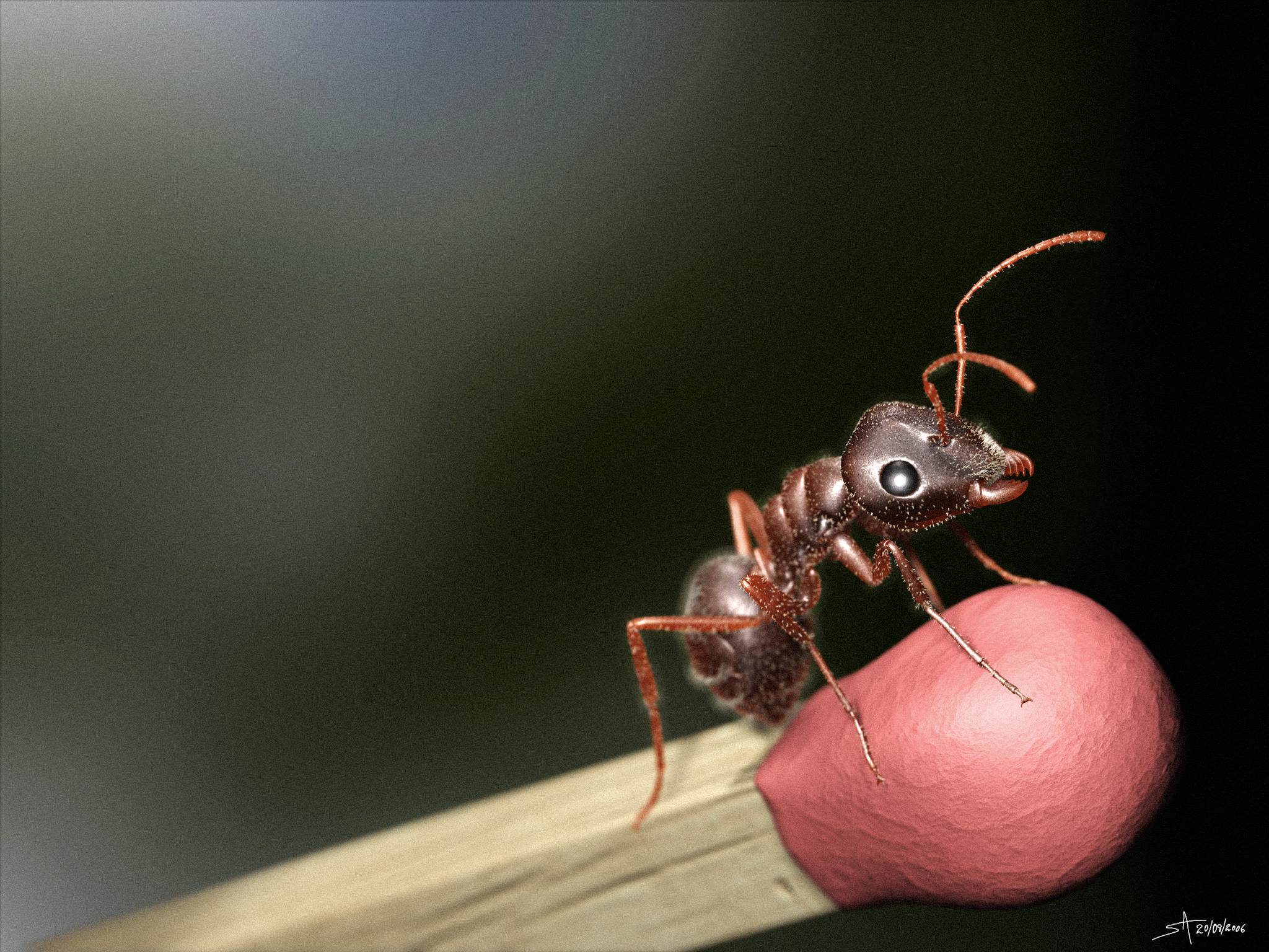 Formiga Virtual - Virtual Ant by playmobil
