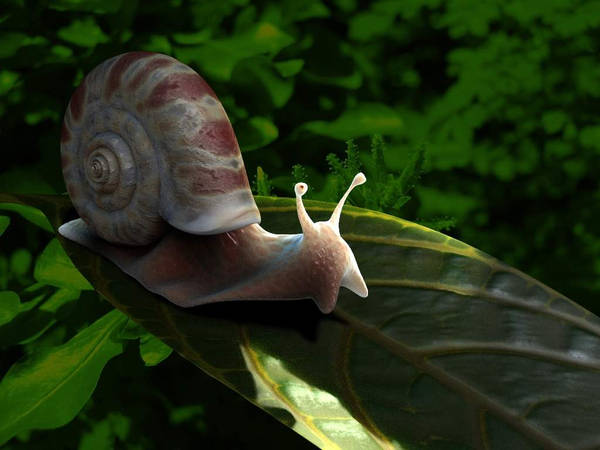 Snail on Leaf by playmobil