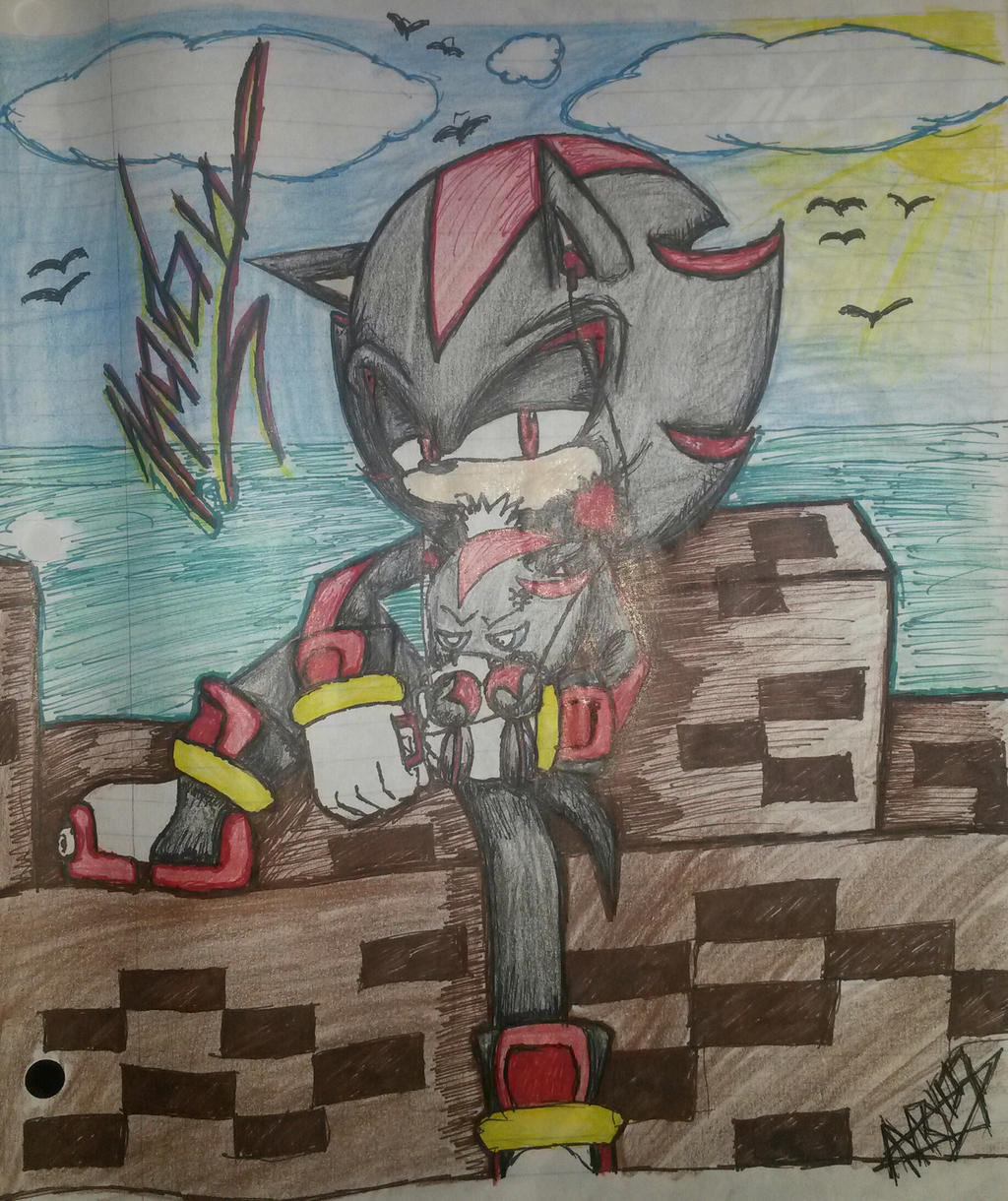Toonsite Shadow Shadow The Hedgehog by Anary108 on DeviantArt