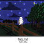Barn Owl, Tyto ALba