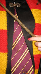 Gryffindor Pride