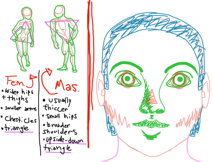 How to draw: humans by AlyDaKat on DeviantArt