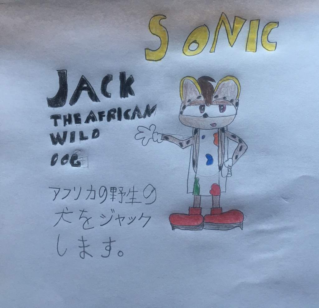 Jack Ena The African Wild Dog(Sonic OC)