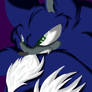 Sonic the werehog