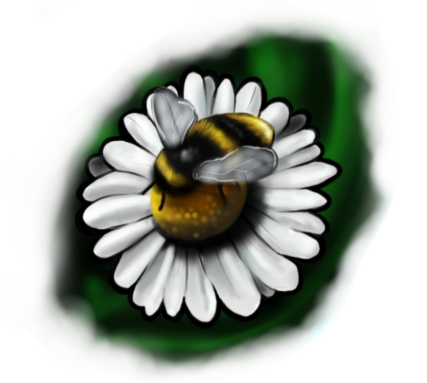 bee daisy