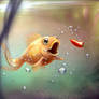 Chile Fish