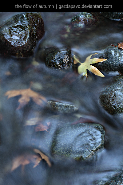 the flow of autumn