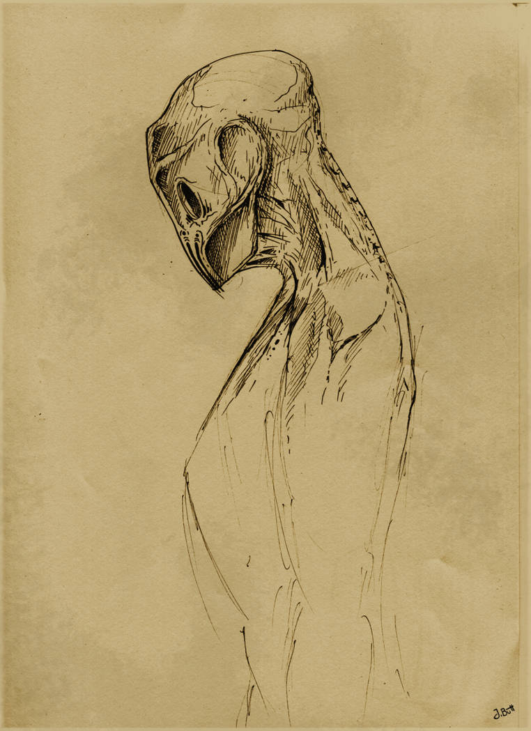 Empty Puppet Empty Puppet - Sepia by Poly-G on DeviantArt