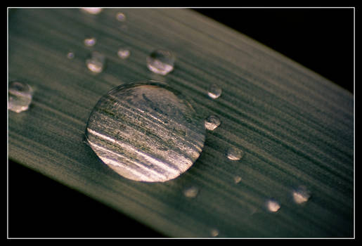 RainDrop