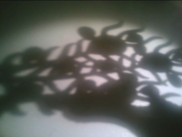 Shadow