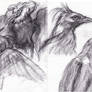 Charcoal birds
